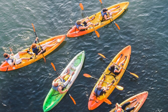 Kayak Rentals on Lady Bird Lake - Getting Started at 74 Trinity St: Finding the Right Launch Spot Fast