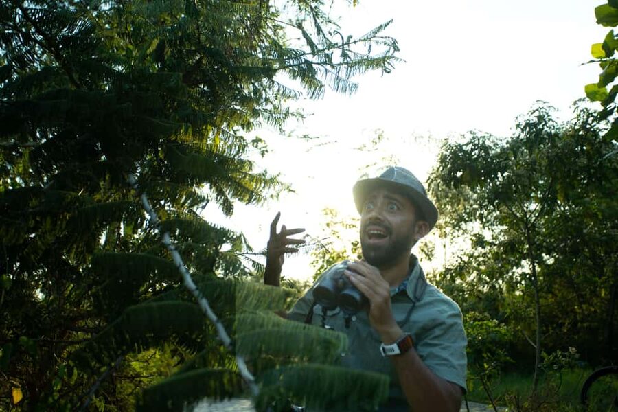 Kigali Eco Park Bird Watching Experience - Nyandungu Eco Park: birdlife close to the Kigali edge