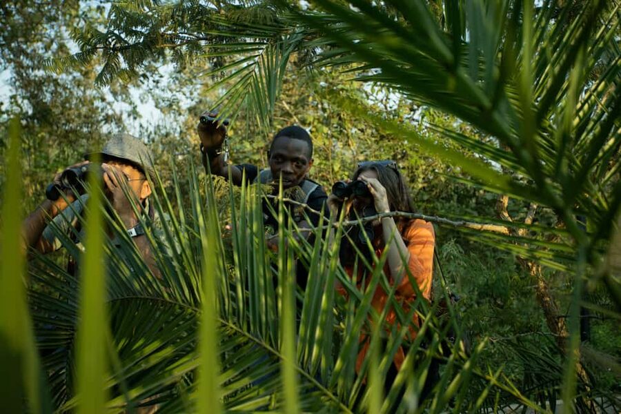 Kigali Eco Park Bird Watching Experience - What a 4-hour birding session feels like