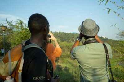 Kigali Eco Park Bird Watching Experience - Up to 70 species: how you’ll actually find birds