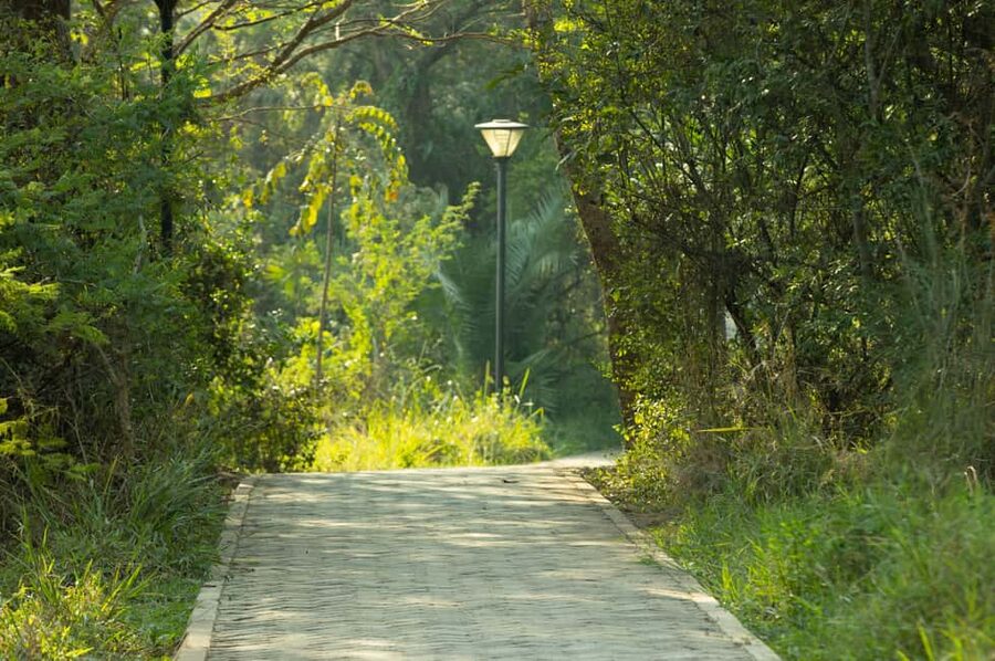 Kigali Eco Park Bird Watching Experience - Binoculars, calls, and photo chances (plus one gear warning)