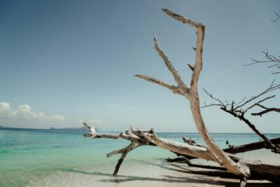 Ko Lanta: Early Bird the Emerald Caves and Koh Kradan Tour - The Emerald Cave on Koh Muk: Dark Tunnel to Emerald Lagoon