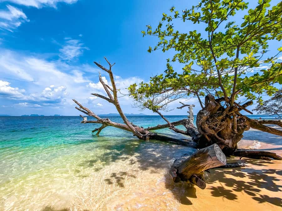 Ko Lanta: Early Bird the Emerald Caves and Koh Kradan Tour - Dry Bag and Safety Stuff That Actually Matters
