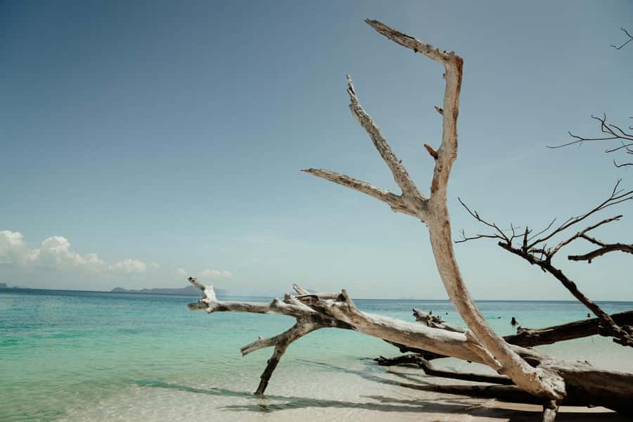 Ko Lanta: Early Bird the Emerald Caves and Koh Kradan Tour - The Emerald Cave on Koh Muk: Dark Tunnel to Emerald Lagoon