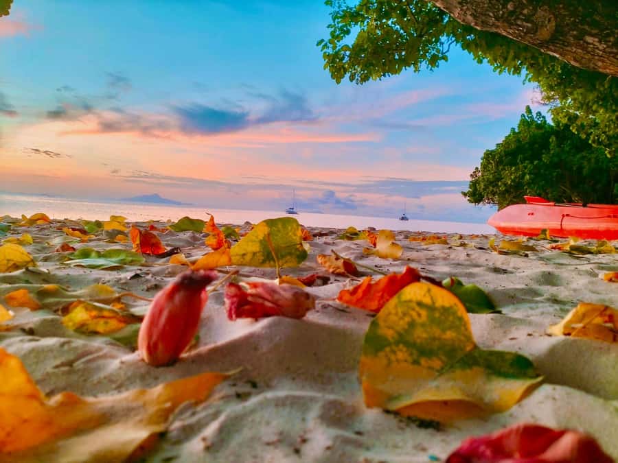 Krabi: Hong Islands Early Bird Tour with Breakfast - Why the Hong Islands early start matters more than you think