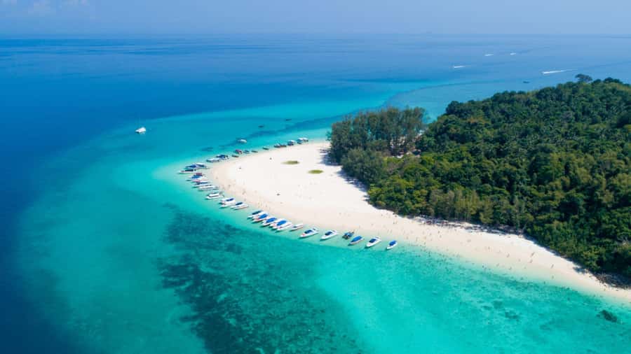 Krabi: Phi Phi Early Bird & 4 Island by Speedboat with Lunch - Viking Cave pass-by and Monkey Beach low-tide watching
