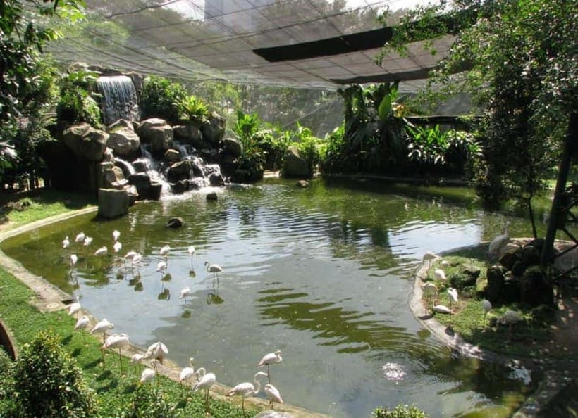 Kuala Lumpur: Bird Park, Butterfly & Garden Private Tour - Key highlights before you go