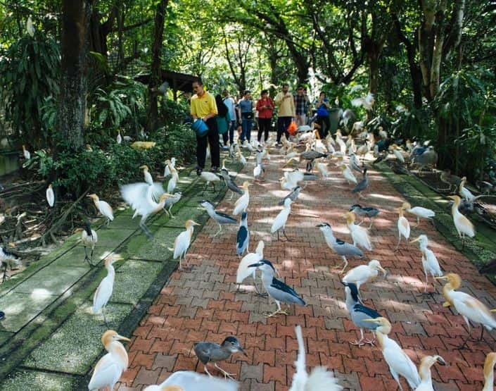 Kuala Lumpur: Bird Park, Butterfly & Garden Private Tour - Butterfly Park: 6,000 species, plus the wow factor of cocoons