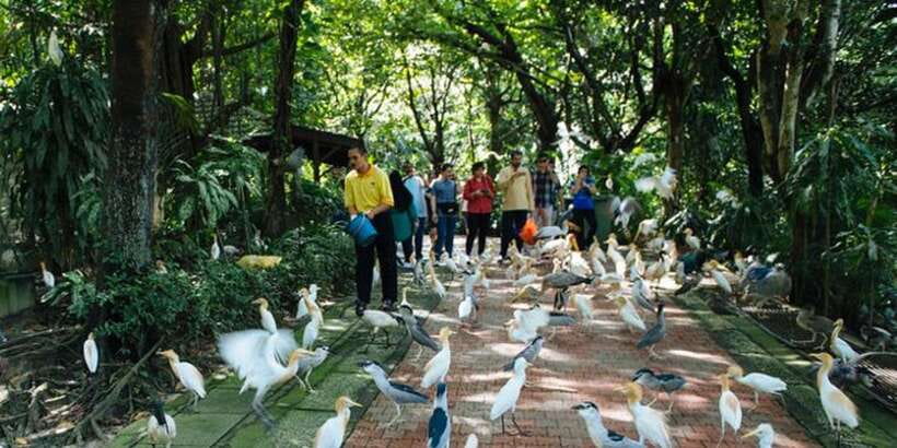 Kuala Lumpur: Bird Park, Butterfly & Garden Private Tour - Should you book this KL Bird Park, Butterfly & Gardens private tour?