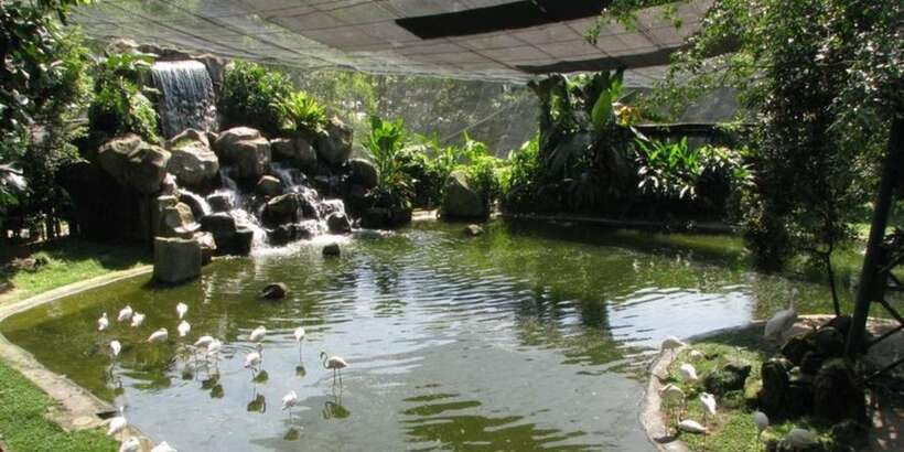 Kuala Lumpur: Bird Park, Butterfly & Garden Private Tour - FAQ