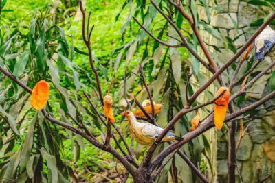 Kuala Lumpur: Bird Park Day Ticket & 1-Way Transfer - Four zones inside the park: planning your route without overthinking