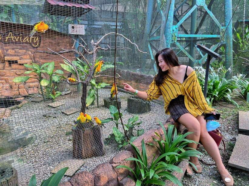 Kuala Lumpur: Bird Park Day Ticket & 1-Way Transfer - Getting picked up in Kuala Lumpur’s Golden Triangle (and what can trip you up)