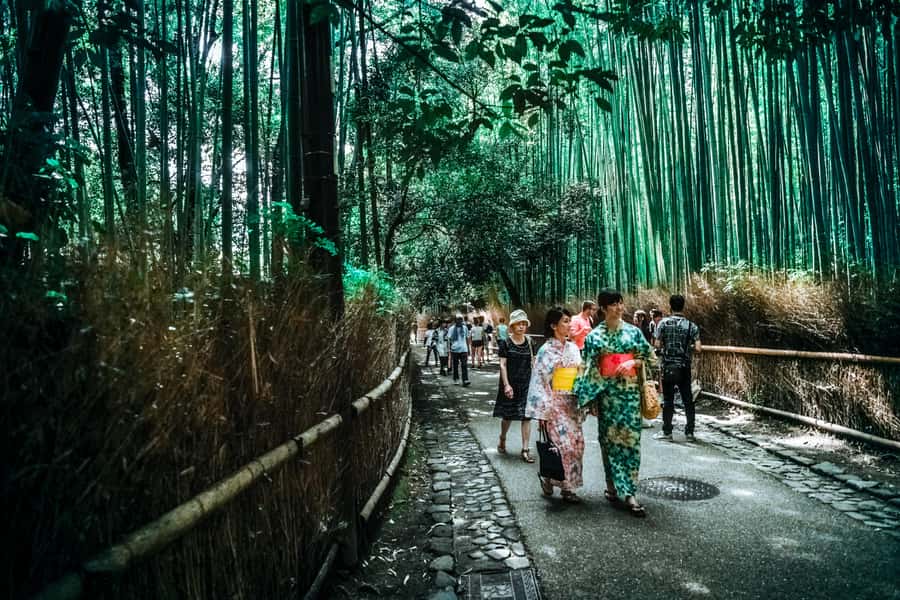 Kyoto Early Bird English Tour: Fushimi-Inari and Arashiyama - Arashiyama Bamboo Grove Before the Beat Drops