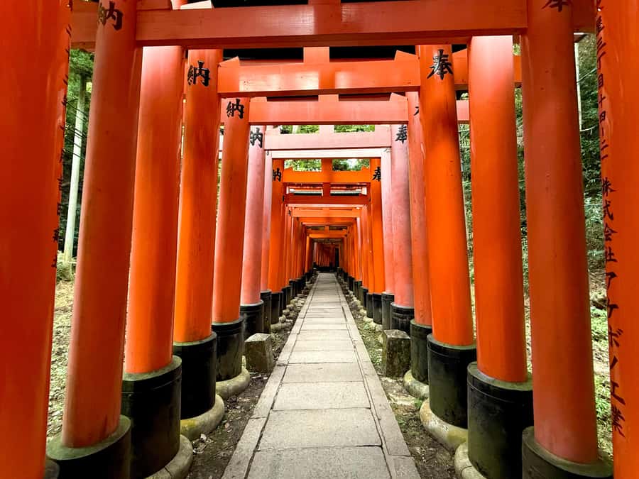 Kyoto Early Bird English Tour: Fushimi-Inari and Arashiyama - Tenryu-ji Temple and Zen Buddhism: Where the Tour Slows Down