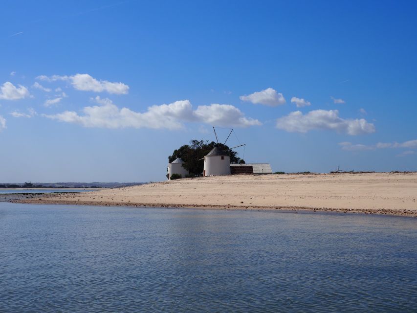 Lisbon: Tagus Estuary Nature Reserve Birdwatching Boat Tour - Bairro dos Pescadores 21: where the estuary starts showing its birds