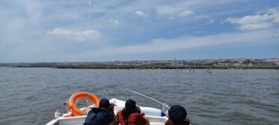 Lisbon: Tagus Estuary Nature Reserve Birdwatching Boat Tour - Parque das Nações: first views, first photo stop, and city-to-nature shift