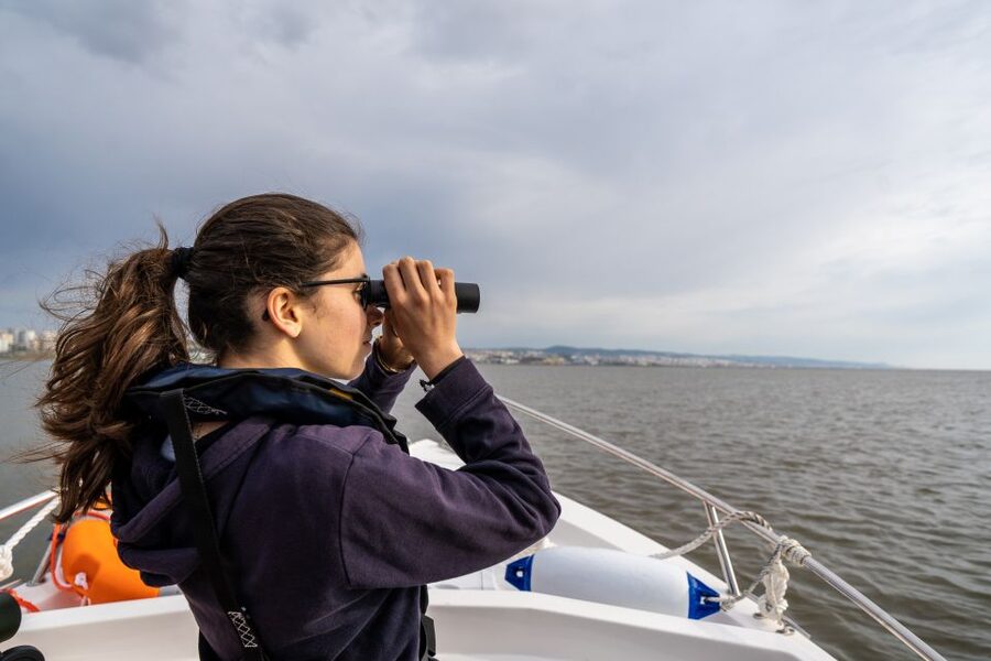 Lisbon: Tagus Estuary Nature Reserve Birdwatching Boat Tour - Mouchao da Povoa and the in-between passes that matter