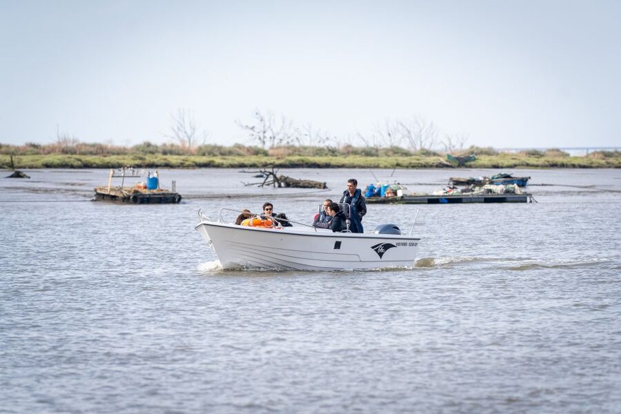 Lisbon: Tagus Estuary Nature Reserve Birdwatching Boat Tour - Captain Carlos Cera: how the guiding turns sightings into real learning