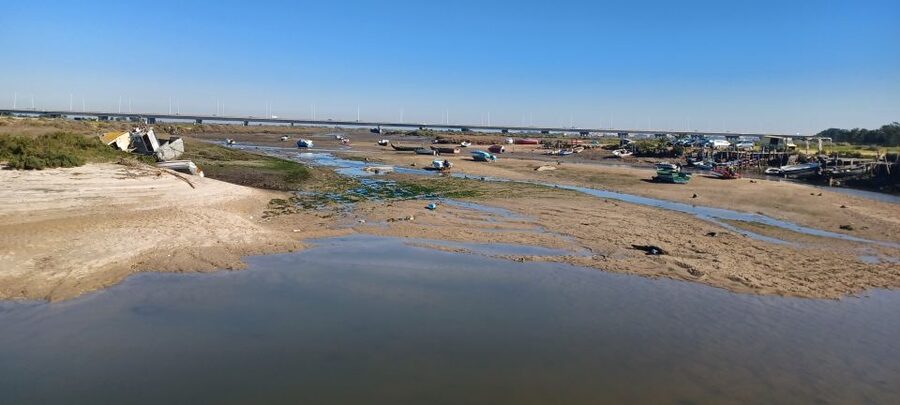Lisbon: Tagus Estuary Nature Reserve Birdwatching Boat Tour - What to bring for a smooth day (and better photos)