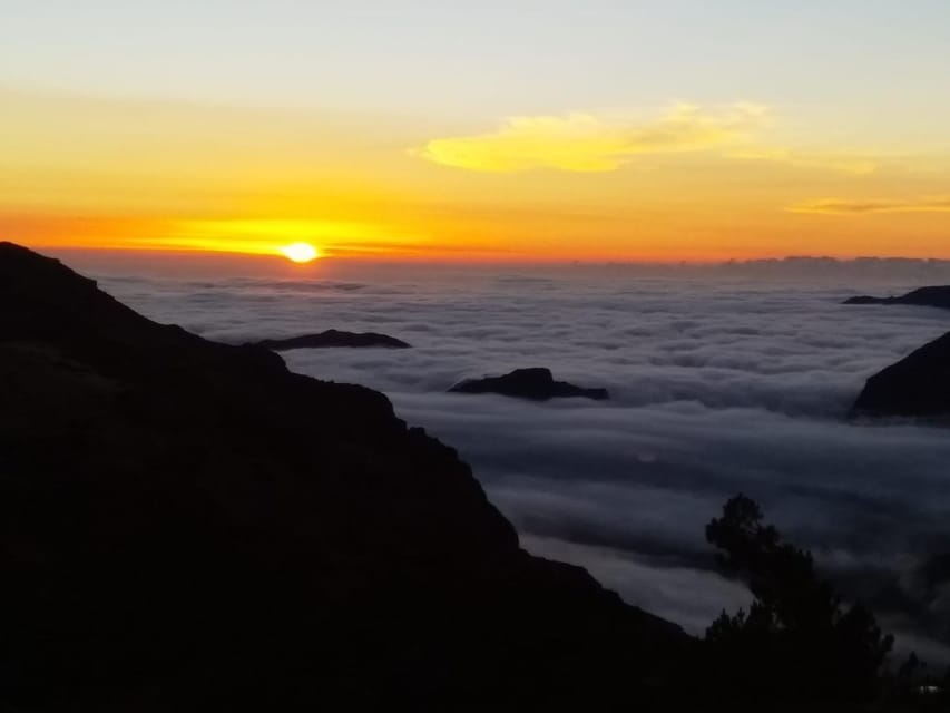 Madeira: Birdwatching - The Endemics - Endemic Birds Are the Point, Not a Side Quest
