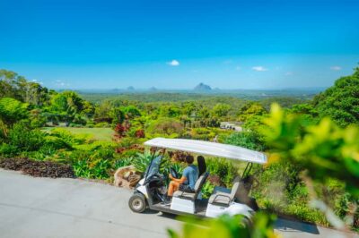 Maleny: Maleny Botanic Gardens & Bird World Entry Ticket - Entering the 23 acres: how the gardens set your pace