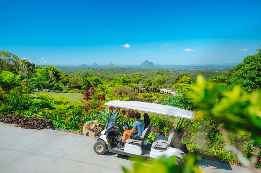 Maleny: Maleny Botanic Gardens & Bird World Entry Ticket - Entering the 23 acres: how the gardens set your pace