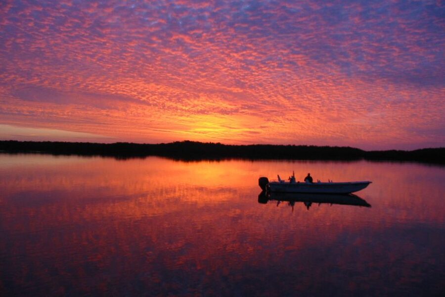 Marco Island: 2-Hour Dolphin, Birding, and Shelling Tour - Price vs. Value: Is $650 Per Group Worth It?