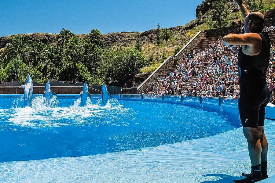 Maspalomas: Palmitos Park Ticket with Dolphin and Bird Shows - Walking plan: steep hills, shade, and mobility options