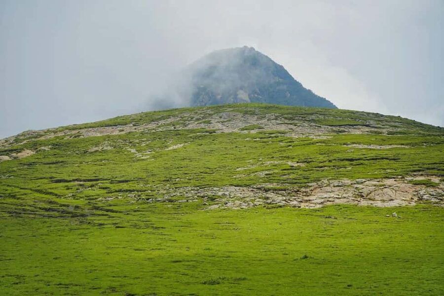 Mogle Mountain Hiking For Birding, Natures From Addis Ababa - Key Moments You Should Expect
