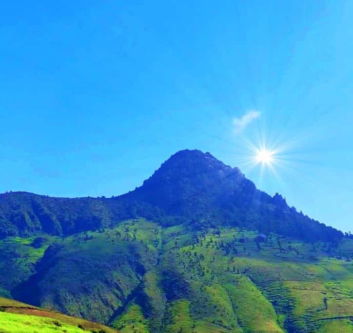 Mogle Mountain Hiking For Birding, Natures From Addis Ababa - Birding on Mount Mogle: Endemics You Can Actually Target