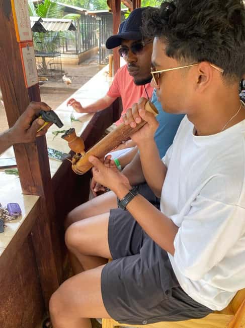 Montego Bay: Marijuana Farm and Bird Sanctuary Tour - The Weed Chalice Pipe: Fun for Some, a Reality Check for Others
