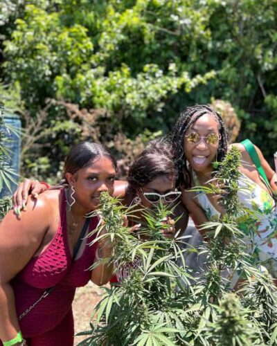Montego Bay: Marijuana Farm and Bird Sanctuary Tour - Bird Sanctuary Time: The Petting Part Is Often the Best