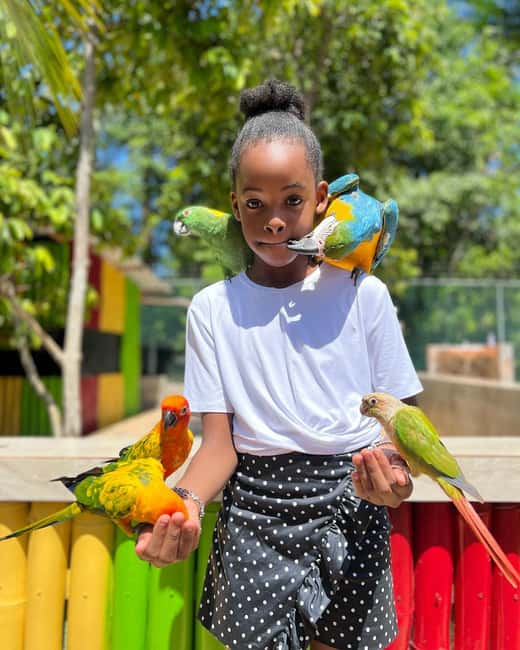 Montego Bay: Marijuana Farm and Bird Sanctuary Tour - Price and Logistics: $87 Base Cost Plus Mandatory Entry Fees