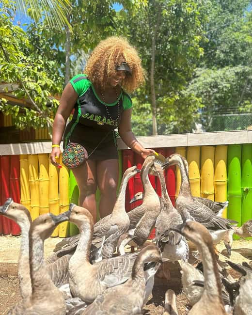 Montego Bay: Marijuana Farm and Bird Sanctuary Tour - FAQ