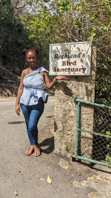Montego Bay: Private Rocklands Bird Sanctuary Trip - Rocklands Bird Sanctuary near Montego Bay: why this bird trip feels worth it