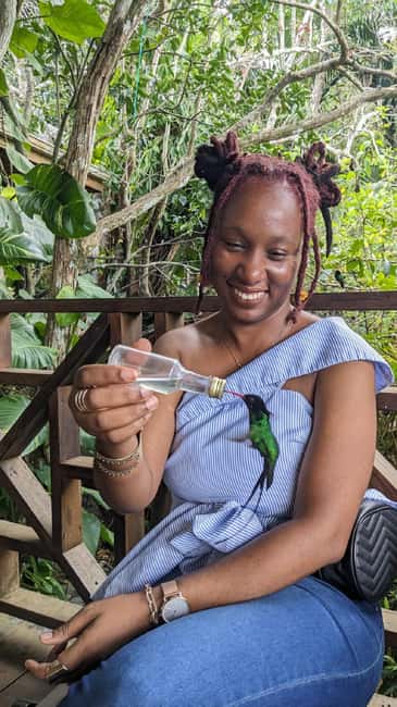 Montego Bay: Private Rocklands Bird Sanctuary Trip - The guided walk in the woods: turning sightings into real understanding