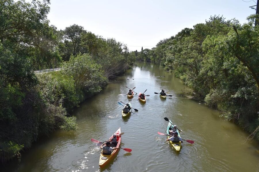 Montpellier : Birdwatching by kayak in the Camargue - Should you book this Montpellier Camargue kayak birdwatching tour?