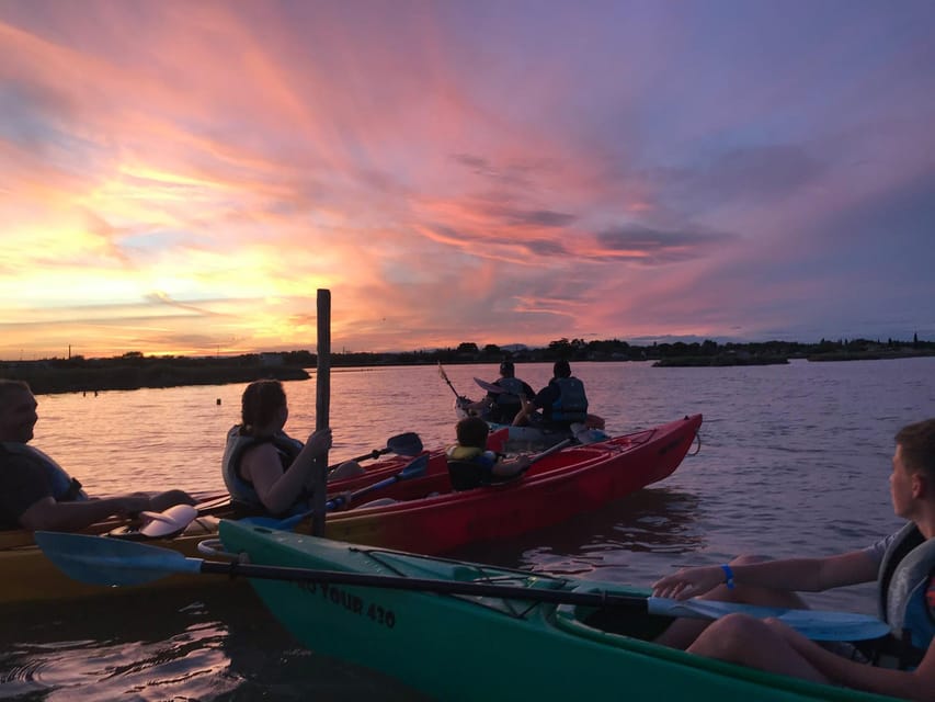 Montpellier : Birdwatching by kayak in the Camargue - Kayaking into the Petite Camargue lagoon for real bird time