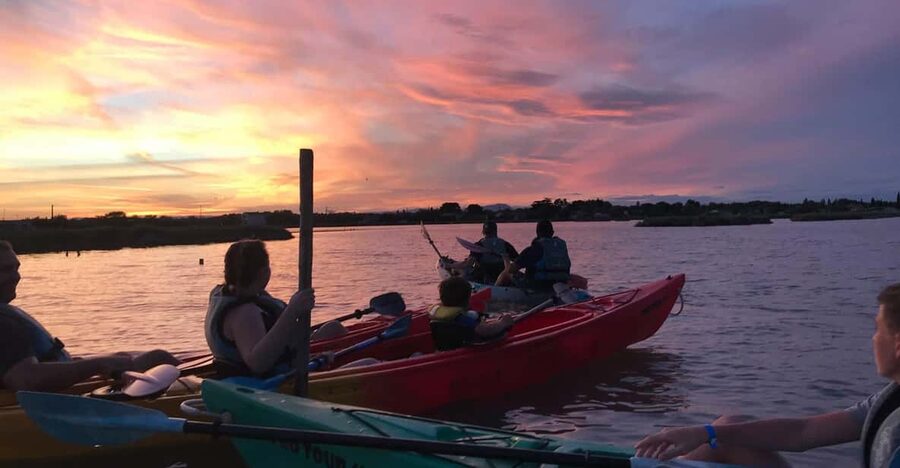 Montpellier : Birdwatching by kayak in the Camargue - The on-water birdwatching circuit: flamingos, herons, egrets, and more
