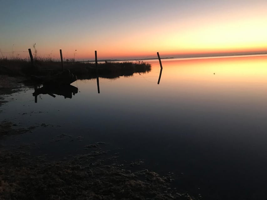 Montpellier : Birdwatching by kayak in the Camargue - Sunset on the lagoon: pink-orange light and quieter wildlife moments