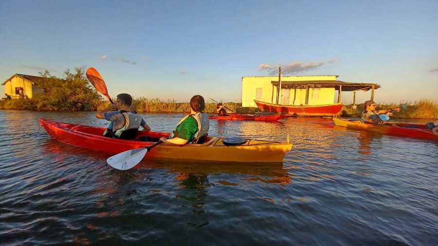 Montpellier : Birdwatching by kayak in the Camargue - Price and group size: does $76 for 2 hours make sense?