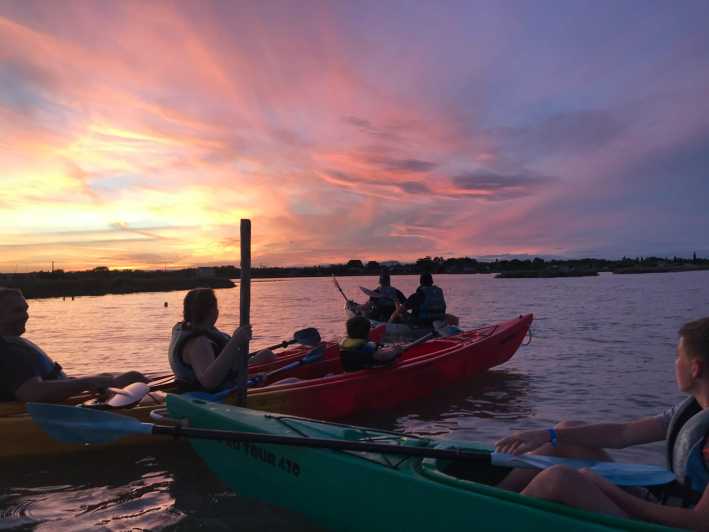 Montpellier : Birdwatching by kayak in the Camargue - What you paddle: stable kayaks, life jackets, and a one-meter-deep lagoon