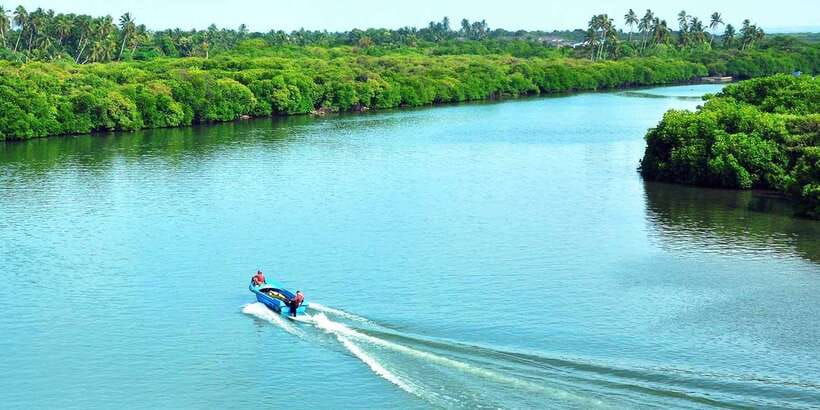 Muthurajawela Bird Watching Tour from Negombo and Colombo - Key Highlights You’ll Actually Notice