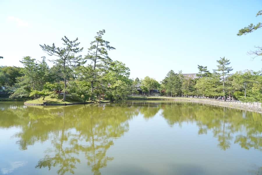 Nara Early Bird Tour (Kyoto Departure Option Available) - Quick hits you can act on fast