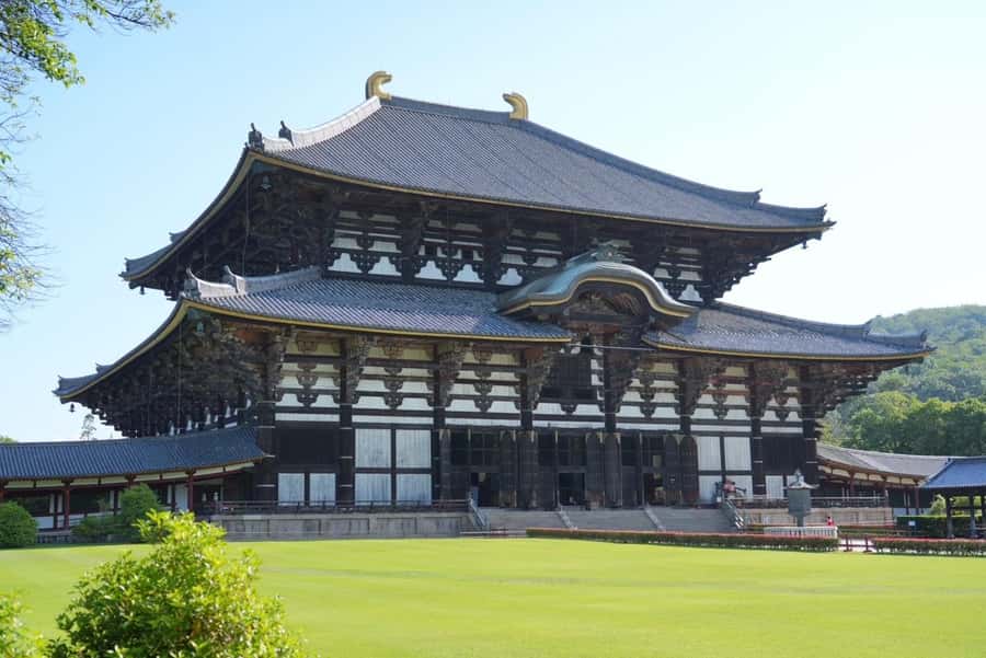 Nara Early Bird Tour (Kyoto Departure Option Available) - Why this Nara early bird plan works (and when it doesn’t)