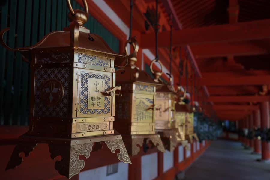 Nara Early Bird Tour (Kyoto Departure Option Available) - The Kyoto to Nara train ride: the 1-hour head start