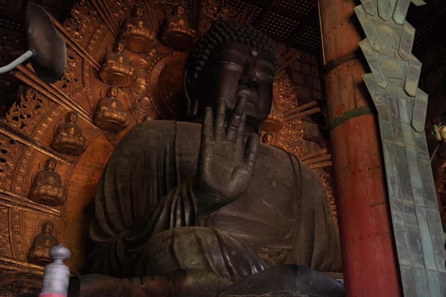 Nara Early Bird Tour (Kyoto Departure Option Available) - Todaiji and the 800 yen admission you must plan for