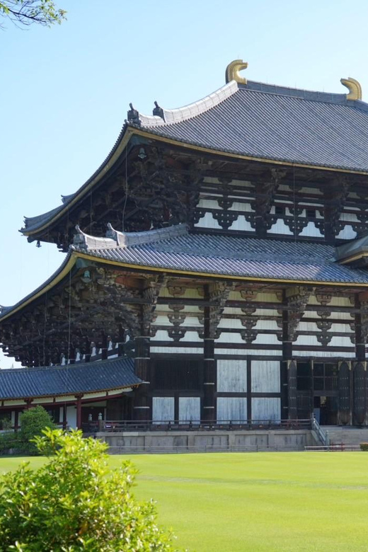 Nara Early Bird Tour (Kyoto Departure Option Available) - Pace and walking: what “half-day” really means