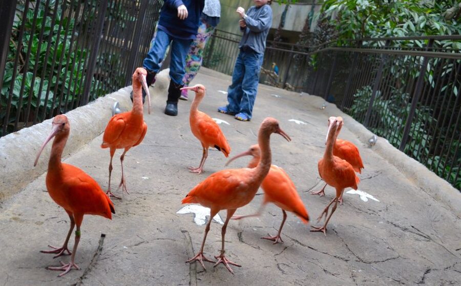 Niagara Falls, Canada: Bird Kingdom Entry Ticket - Parking, timing, and camera basics that make the day smoother