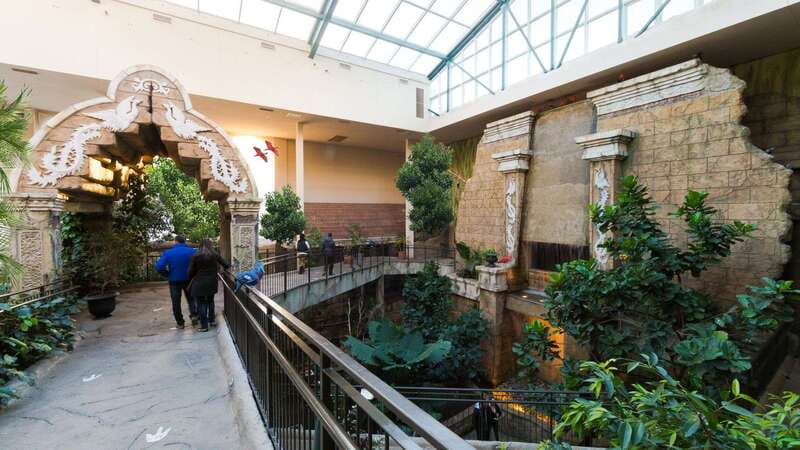 Niagara Falls, Canada: Bird Kingdom Entry Ticket - Night Jungle ruins: a break from the daytime bird frenzy
